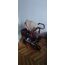 Մանկասայլակ