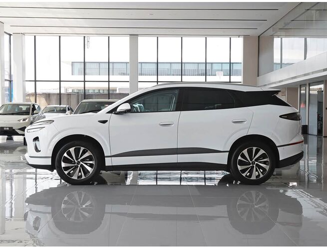 BYD SEA LION 06 Pilot Plus 2026թ., 3 image