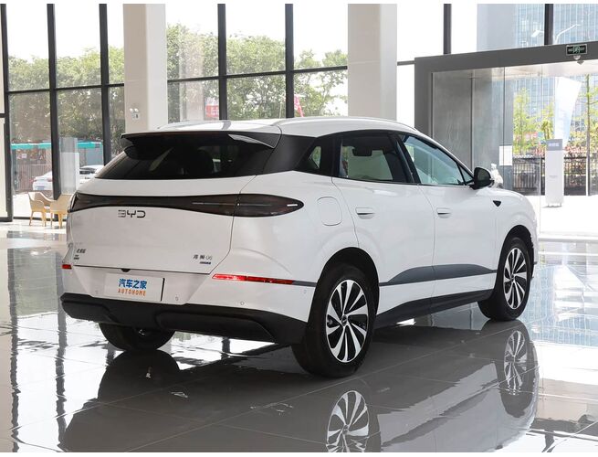 BYD SEA LION 06 Pilot Plus 2026թ., 5 image