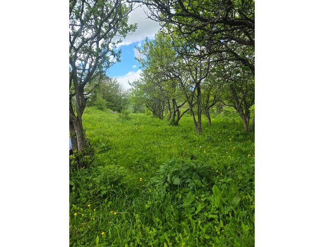 Վաճառվում է հողատարածք, 3 image