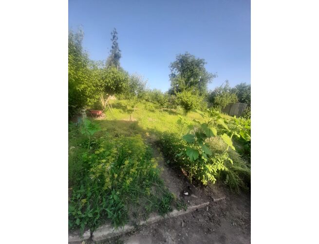 Վաճառվում է 3 սենյականոց սեփական տուն, 8 image