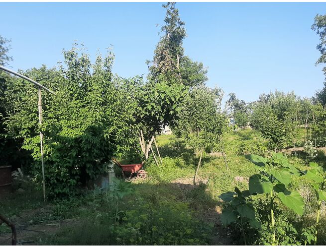 Վաճառվում է 3 սենյականոց սեփական տուն, 6 image