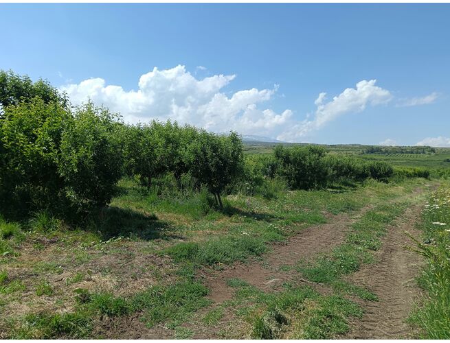 Գյուղատնտեսական հողատարածք, 3 image