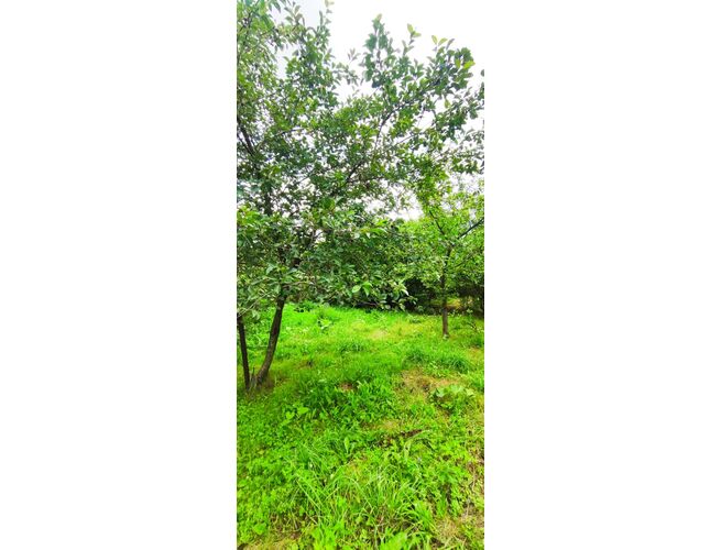 Վաճառվում է 5սենյականոց սեփական տուն, 2 image