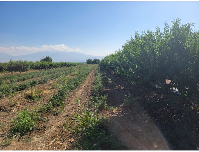 Վաճառվում է հողատարածք, 5 image