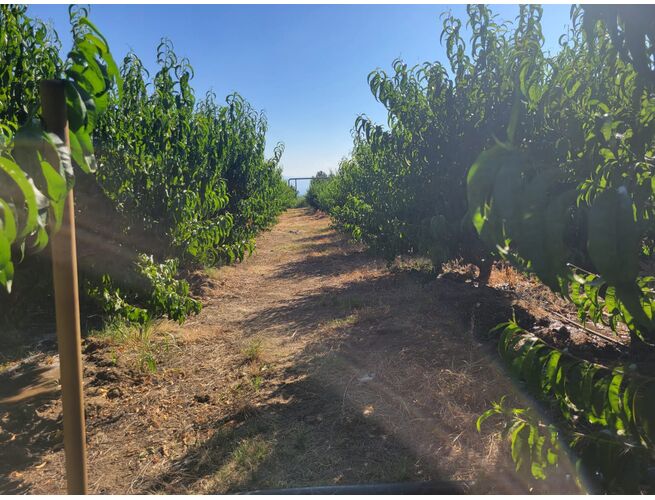 Վաճառվում է հողատարածք, 4 image