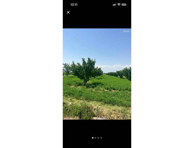 Հողատարացք,բեքատու ծիրանի լառեր, 3 image