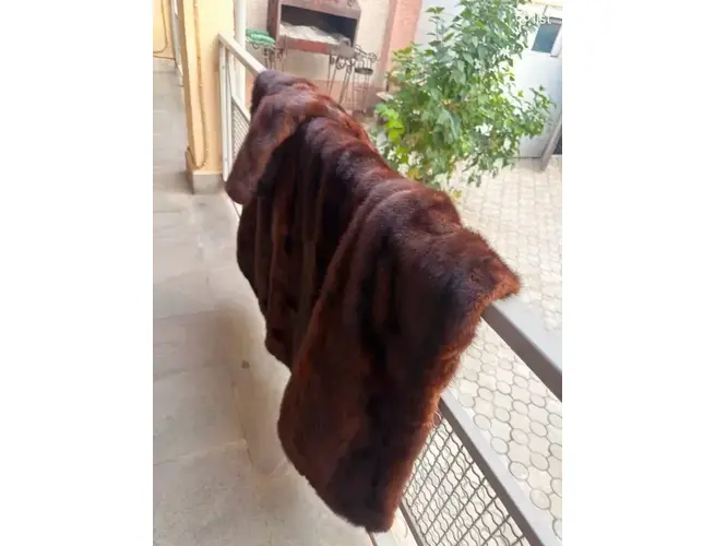 Բնական նորկայից մուշտակ լավ վիճակում, 4 image