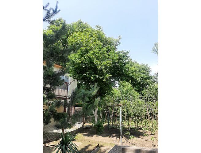 Վաճառվում է 5 սենյականոց սեփական տուն, 2 image