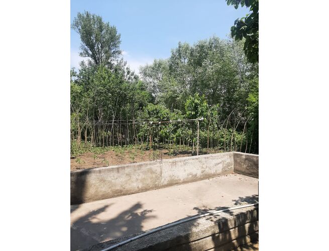 Վաճառվում է 5 սենյականոց սեփական տուն, 5 image