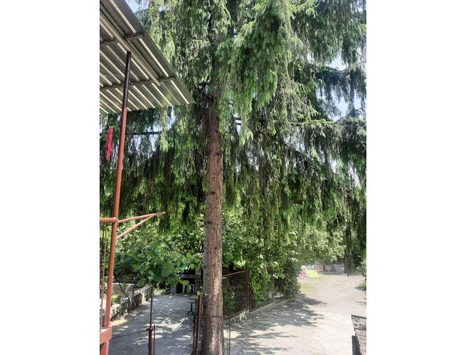 Վաճառվում է 5 սենյականոց սեփական տուն, 21 image